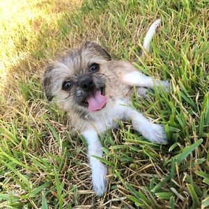 Meet your Posher, Leticia